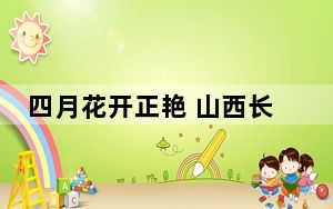 四月花开正艳 山西长子开启最美赏花季