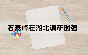 石泰峰在湖北调研时强调 进一步推动落实统战工作责任制 把加强党的全面领导贯穿统战工作各领域全过程
