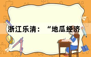 浙江乐清：“地瓜经济”海外耕田 让“归乡经济”更甜