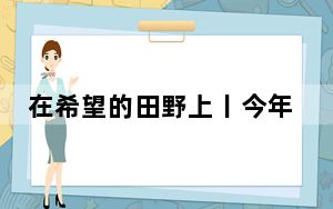 在希望的田野上丨今年粮食增产的重心在于大面积提高单产能力