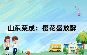 山东荣成：樱花盛放醉游人