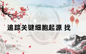 追踪关键细胞起源 找到肺病治疗靶点