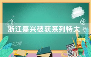 浙江嘉兴破获系列特大侵犯著作权案  涉案金额近亿元