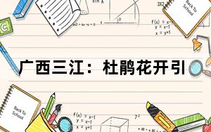 广西三江：杜鹃花开引客来