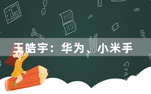 王皓宇：华为、小米手机大部分是比亚迪生产的
