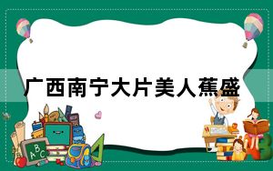 广西南宁大片美人蕉盛放引人“打卡”