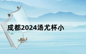 成都2024汤尤杯小组赛收官 印尼男队“复仇”卫冕冠军