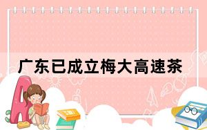 广东已成立梅大高速茶阳路段塌方灾害调查评估组，省长任组长