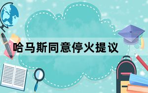 哈马斯同意停火提议 以军继续推进拉法行动