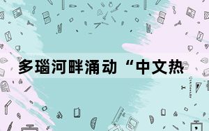 多瑙河畔涌动“中文热”（记者手记）