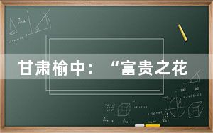 甘肃榆中：“富贵之花”变身“富民之花”