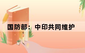 国防部：中印共同维护边境地区和平安宁