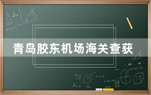 青岛胶东机场海关查获一批烟草制品