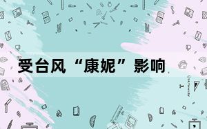 受台风“康妮”影响 上海虹桥边检多措并举应对航班备降