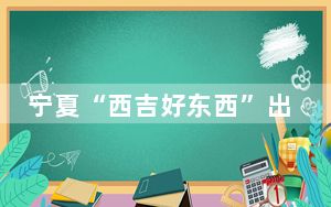 宁夏“西吉好东西”出村进城俏销全国