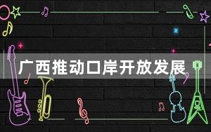 广西推动口岸开放发展 打造面向东盟国际大通道