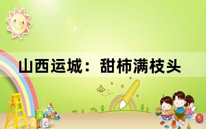 山西运城：甜柿满枝头 乡村“柿业”旺