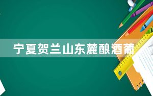 宁夏贺兰山东麓酿酒葡萄埋土“冬眠”