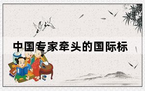 中国专家牵头的国际标准项目立项 助力全球露营旅游标准化建设