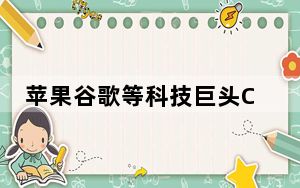 苹果谷歌等科技巨头CEO祝贺特朗普胜选 称希望展开合作