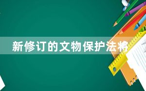 新修订的文物保护法将于2025年3月1日起施行