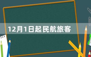 12月1日起民航旅客运输服务推广使用全面数字化电子发票