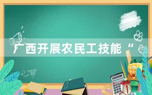 广西开展农民工技能“大比武” 助力乡村振兴