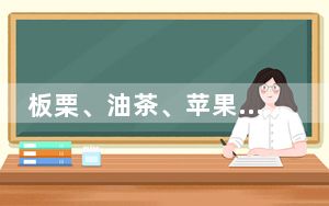 板栗、油茶、苹果……森林“粮库”让中国饭碗端得更稳