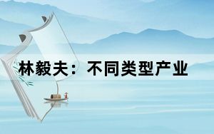 林毅夫：不同类型产业如何加快发展新质生产力