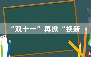 “双十一”再掀“换新热” 浙江政策加码激发消费动能