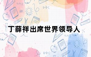 丁薛祥出席世界领导人气候行动峰会并致辞