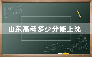 山东高考多少分能上沈阳城市学院？2024年综合投档线455分