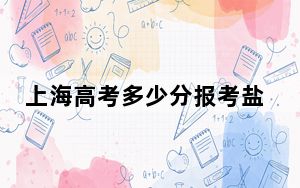 上海高考多少分报考盐城工学院？2024年综合最低分438分