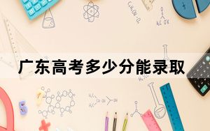 广东高考多少分能录取西安外国语大学？2024年历史类投档线535分 物理类投档线539分