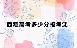 西藏高考多少分报考沈阳城市学院？附2022-2024年最低录取分数线