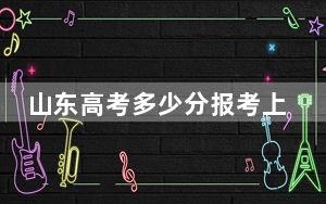 山东高考多少分报考上海健康医学院？2024年综合录取分513分