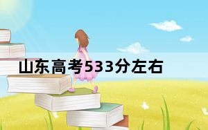 山东高考533分左右录取的本科大学名单！（供2025年考生参考）