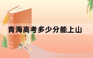 青海高考多少分能上山东圣翰财贸职业学院？2024年文科最低260分 理科最低252分