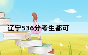 辽宁536分考生都可以填报哪些大学？（附带近三年高考大学录取名单）
