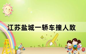 江苏盐城一轿车撞人致2死6伤 这到底是怎么回事？