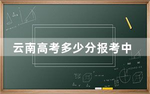 云南高考多少分报考中南财经政法大学？2024年文科录取分612分 理科录取分598分