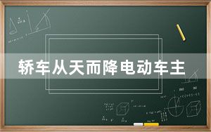 轿车从天而降电动车主被撞身亡 背后真相令人震惊