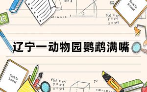 辽宁一动物园鹦鹉满嘴东北味 背后真相实在令人震惊