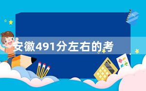 安徽491分左右的考生可以报考哪些公办本科大学？ 2024年一共录取70所大学