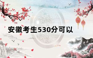 安徽考生530分可以填报哪些高校名单？（附带2022-2024年530录取名单）