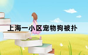 上海一小区宠物狗被扑杀 背后真相实在让人惊愕
