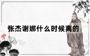 张杰谢娜什么时候离的婚是真的吗 背后真相让人感到惊讶