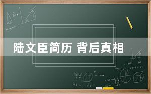 陆文臣简历 背后真相令人震惊