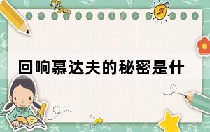 回响慕达夫的秘密是什么 背后真相实在令人震惊