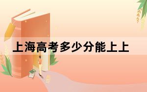 上海高考多少分能上上海工艺美术职业学院？2024年综合投档线232分